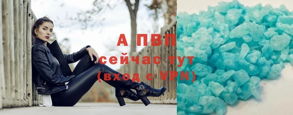 скорость Каменка