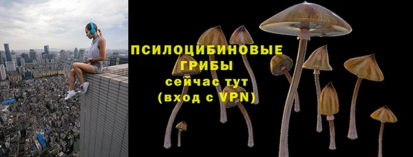 сатива Кукмор