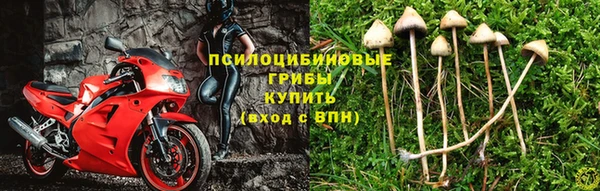 шишки Лагань