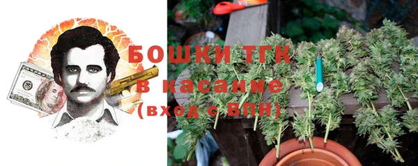 сатива Кукмор