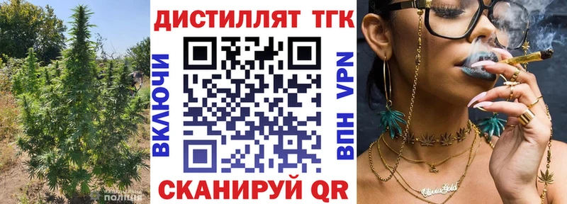 MEGA как зайти Николаевск ТГК концентрат